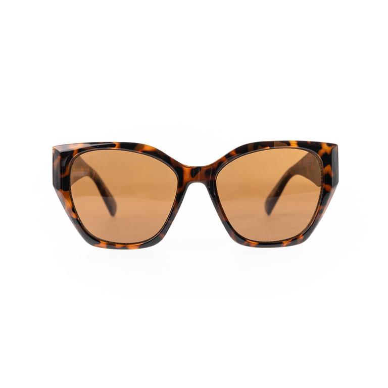 Katie Brown Tortoise