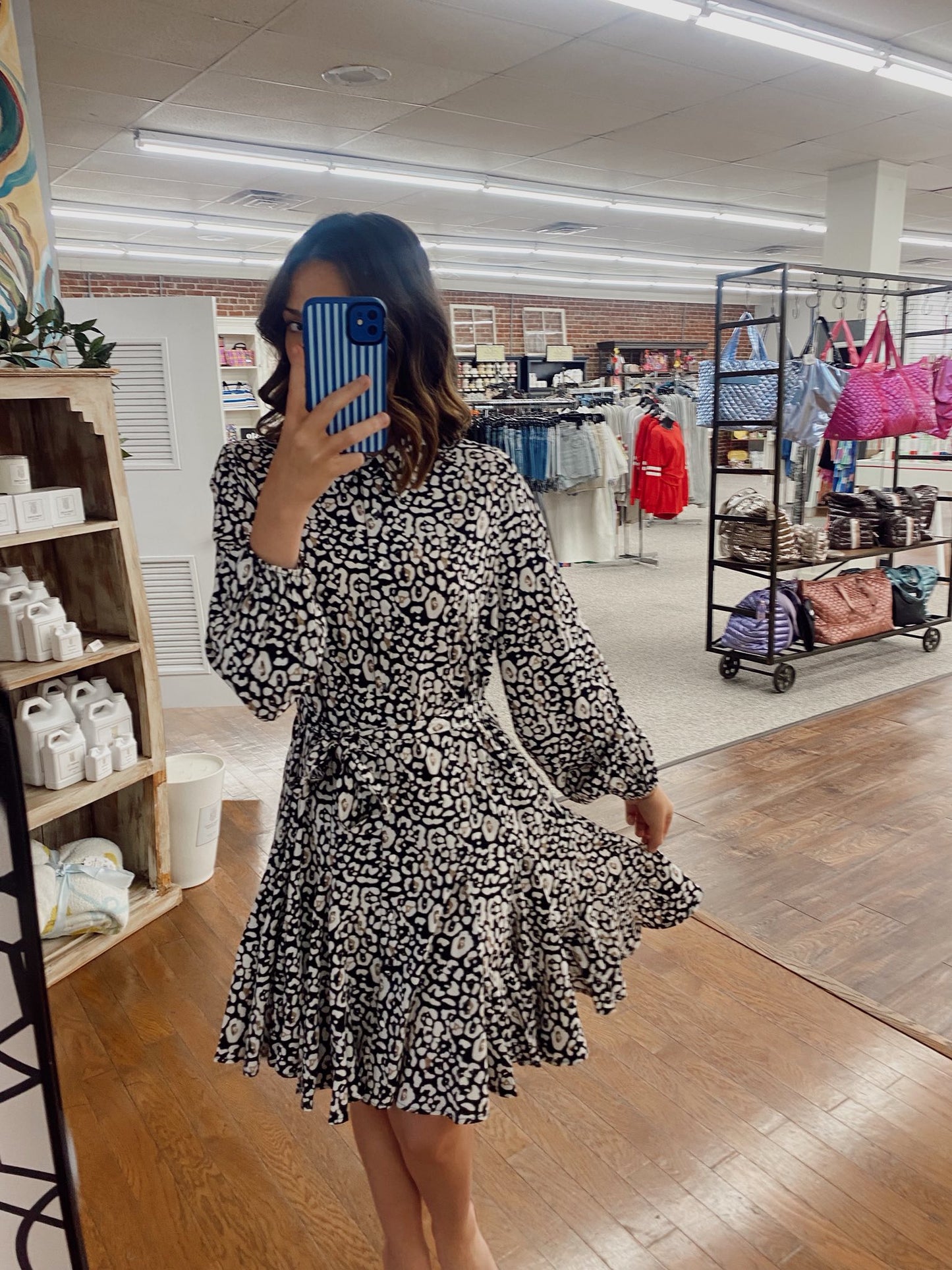 Papillon Animal Print Shirt Dress