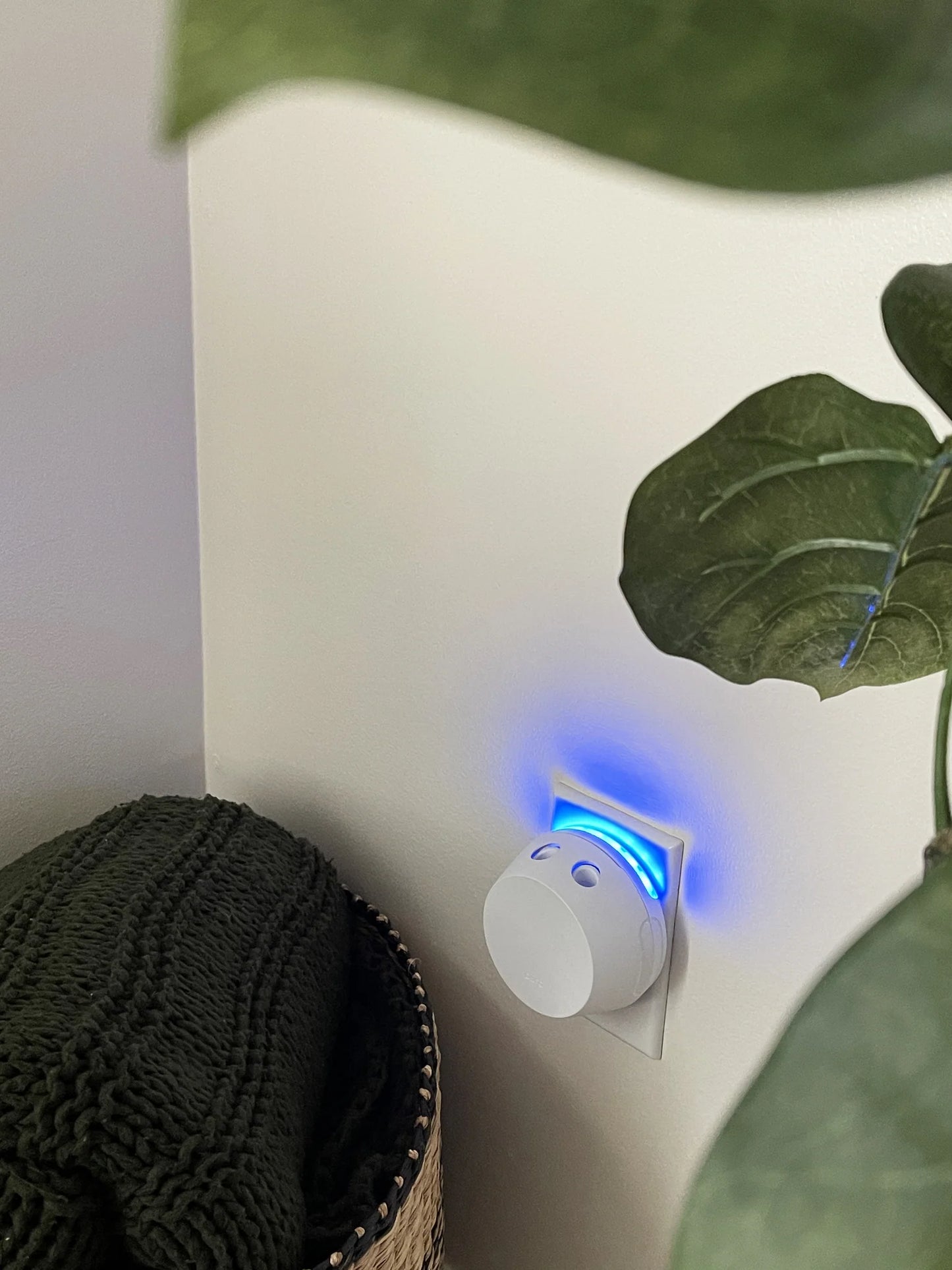 Pura + Sweet Grace Smart Home