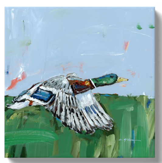 "Mallard Greens" 16X16 canvas print