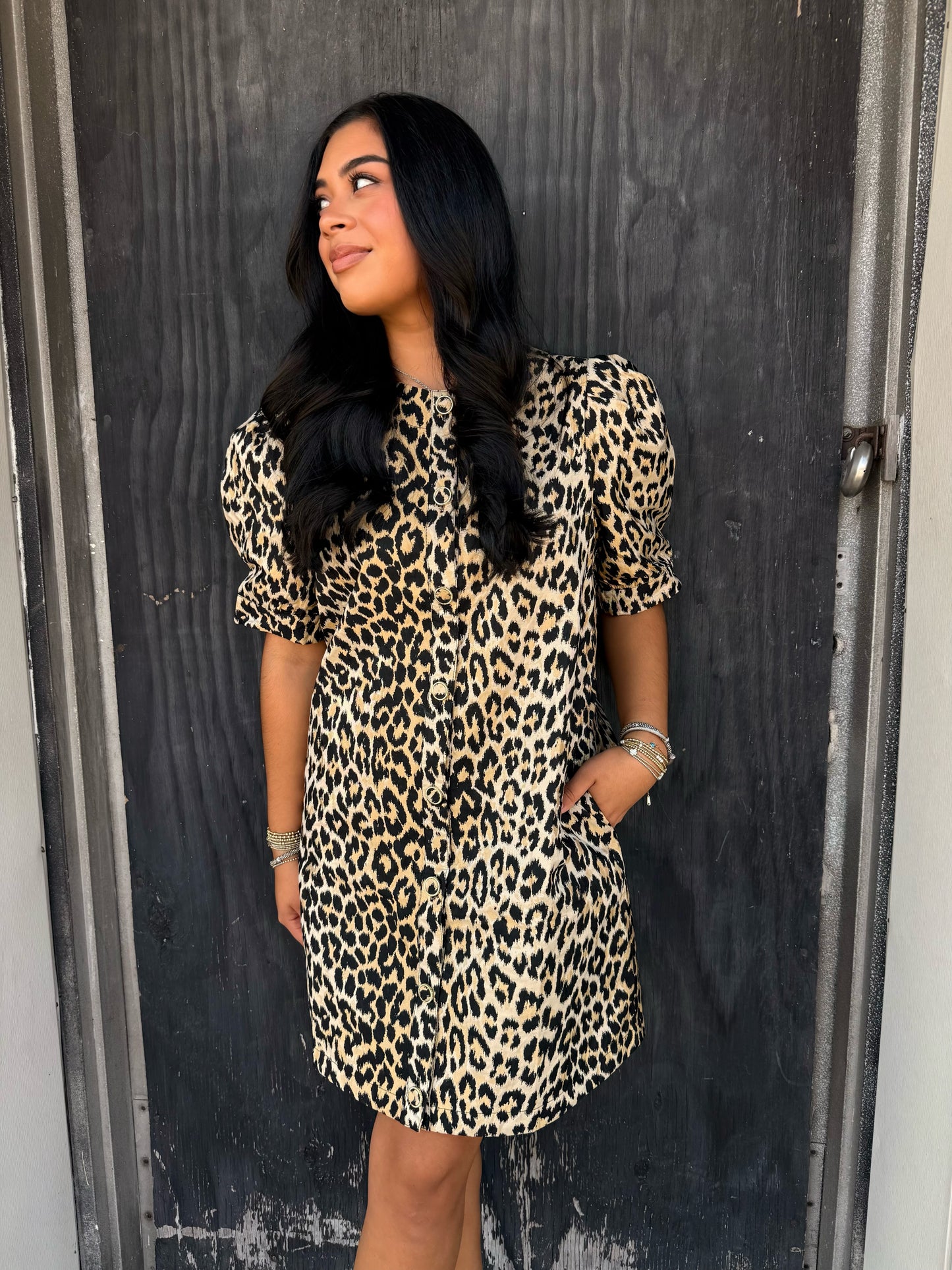 Leopard Pleated Mini Dress