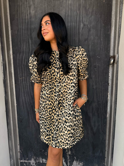 Leopard Pleated Mini Dress