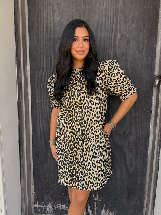 Leopard Pleated Mini Dress