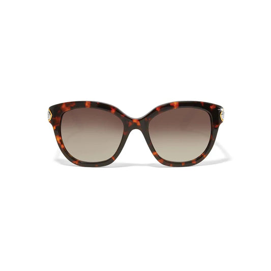 Brighton Sunglasses Amber Tortise