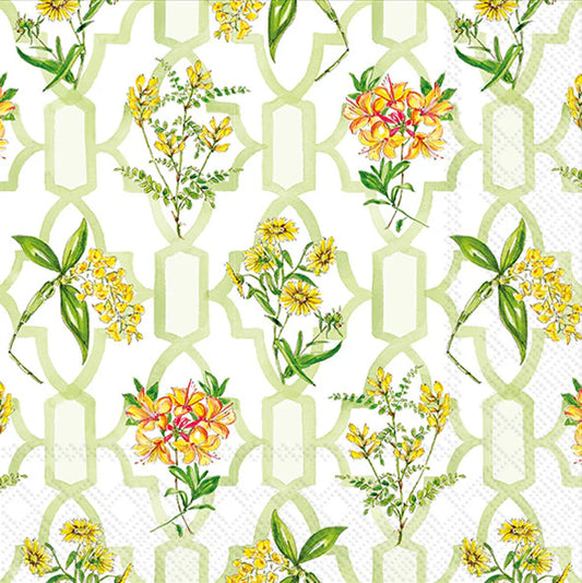 Green Trellis Cocktail Napkin